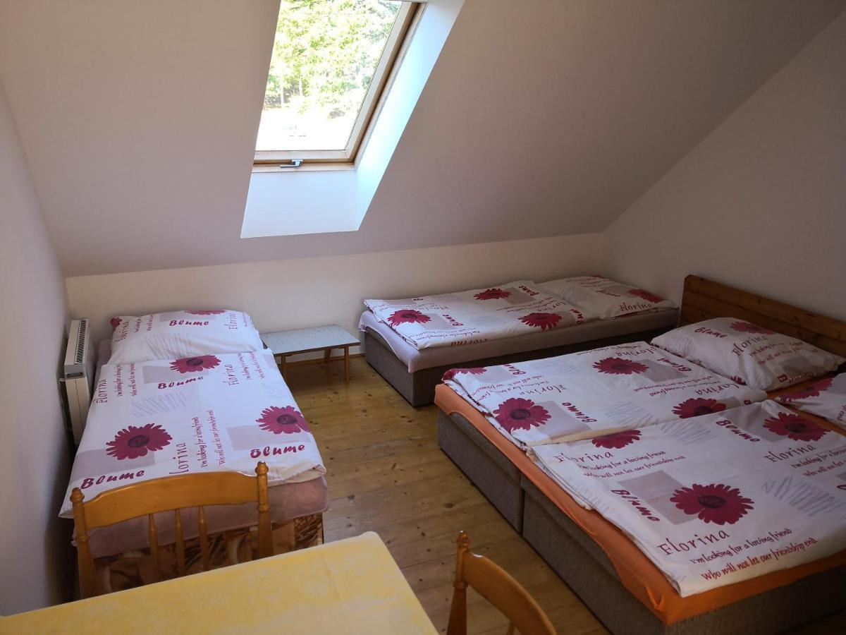 Ubytování u Máchova jezera - Apartmány - Ludmila Grulišová Doksy (Liberec) Exterior foto