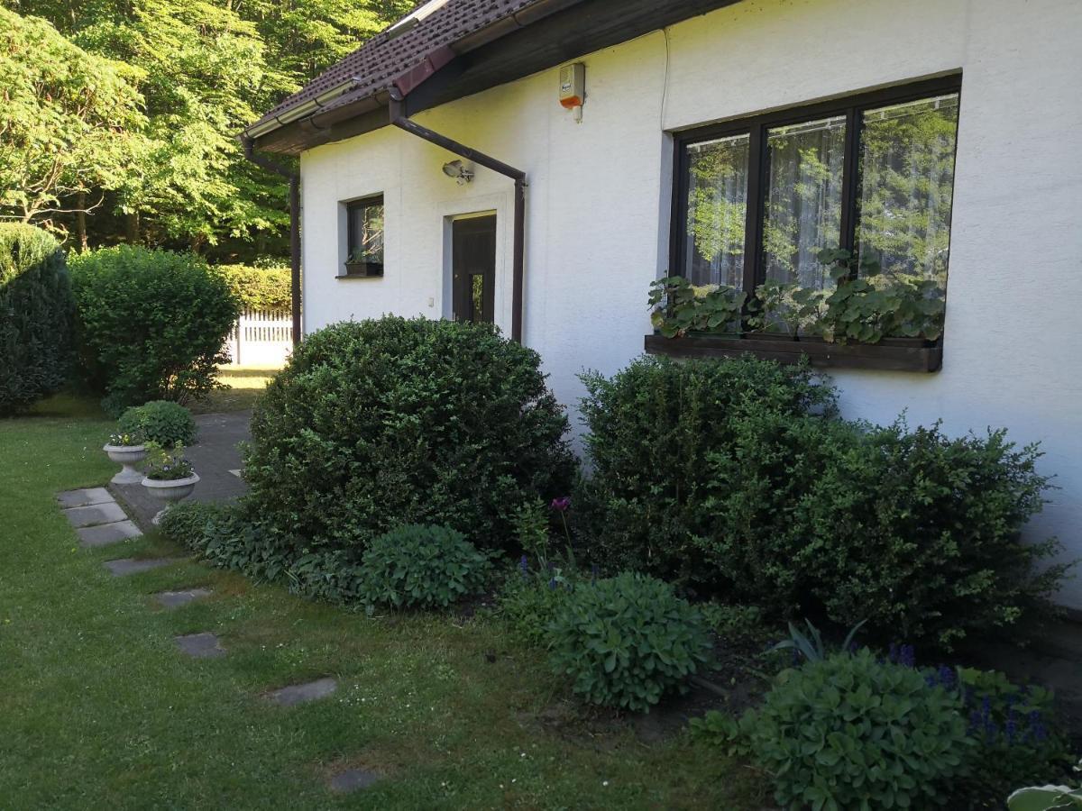 Ubytování u Máchova jezera - Apartmány - Ludmila Grulišová Doksy (Liberec) Exterior foto